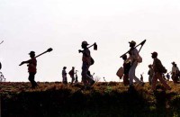 /album/galeria-de-fotos-galeria-de-fotos/trabalhador-rural-jpg1/